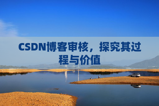 CSDN博客审核，探究其过程与价值